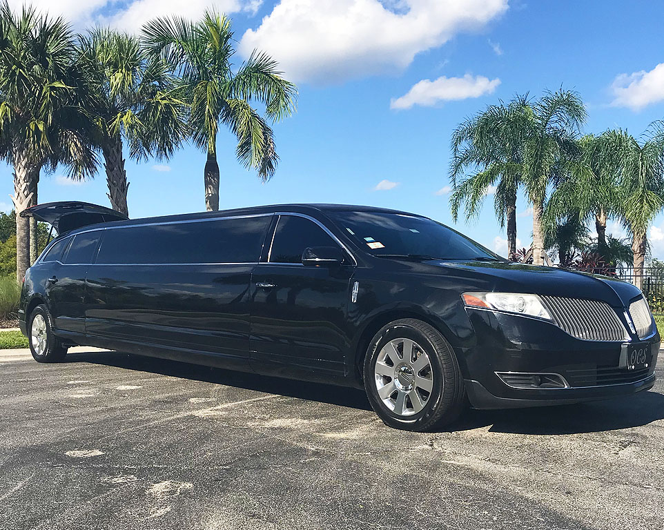 8 Passenger Limo