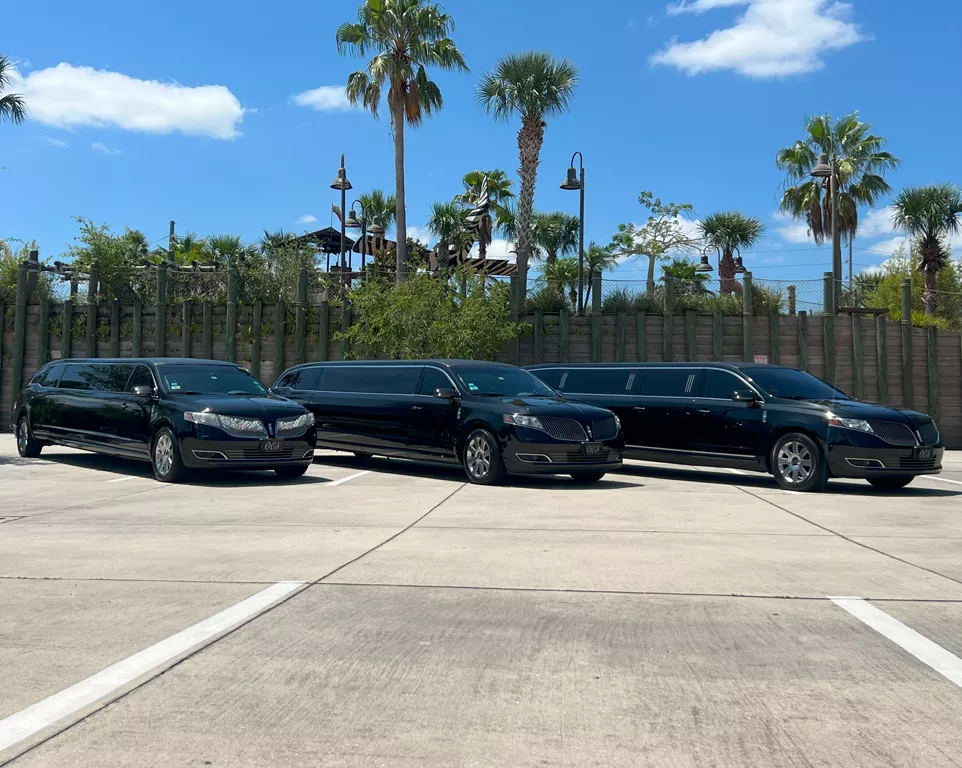 Jet Sprinter Limousine